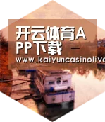 开云APP中德合璧 实力可鉴