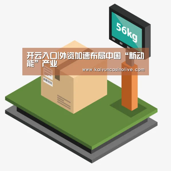 开云登录