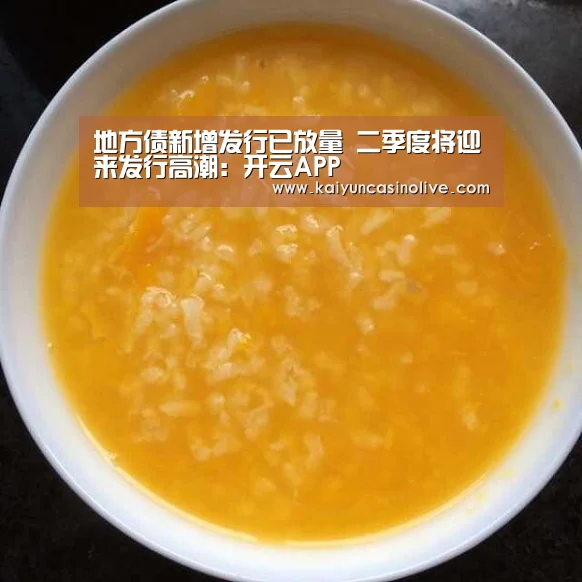 地方债新增发行已放量 二季度将迎来发行高潮:开云APP(图2) 开云APP