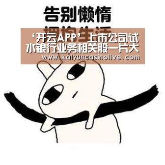 开云入口