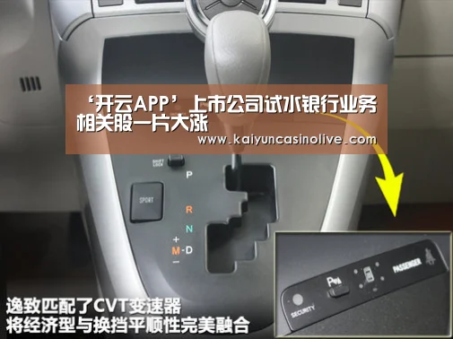 开云APP
